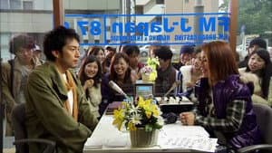 Traveler, Swallowtail Butterfly, Celebrity